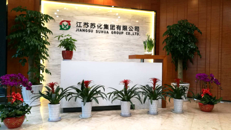 掛燈籠，貼春聯  蘇化科技園內年味濃