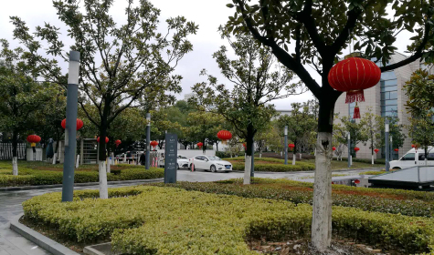 掛燈籠，貼春聯  蘇化科技園內年味濃