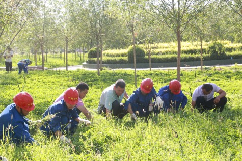 營造優美環境 共建美麗華御