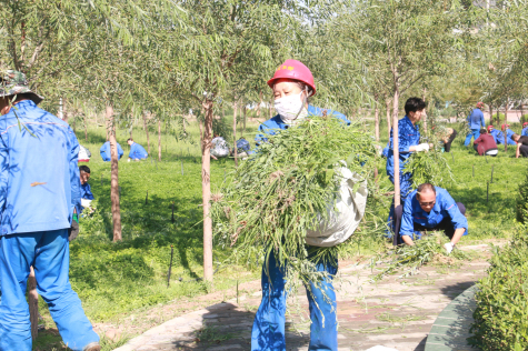 營造優美環境 共建美麗華御