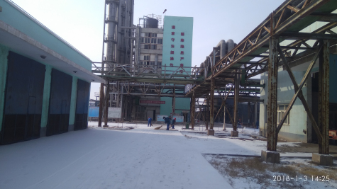 瑞雪洗白世界 掃雪盡顯團結