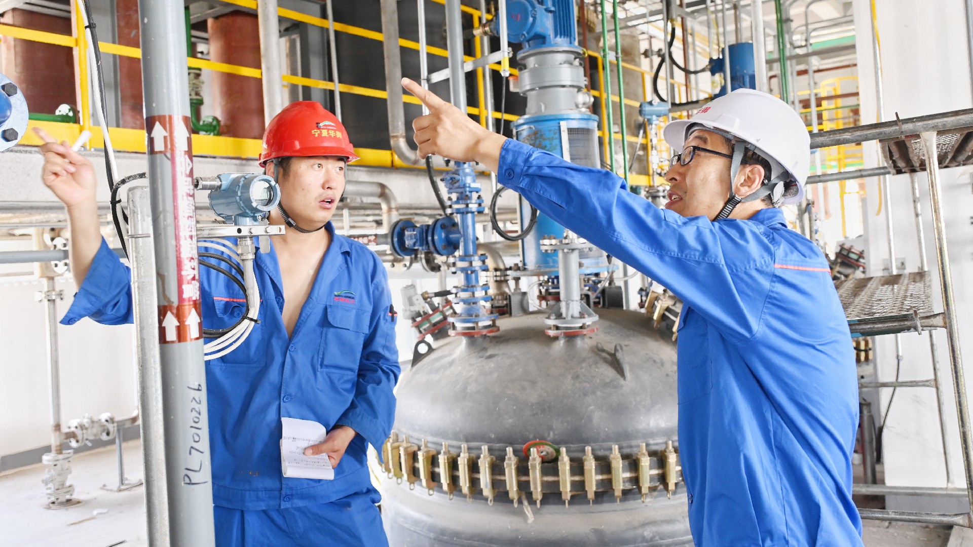 1722820943450534.jpg 2.jpg